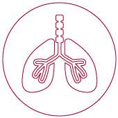 Diseases of the respiratory system